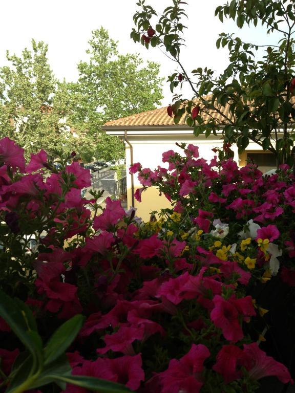אנזולה נל'אמיליה B&B Pitstop מראה חיצוני תמונה